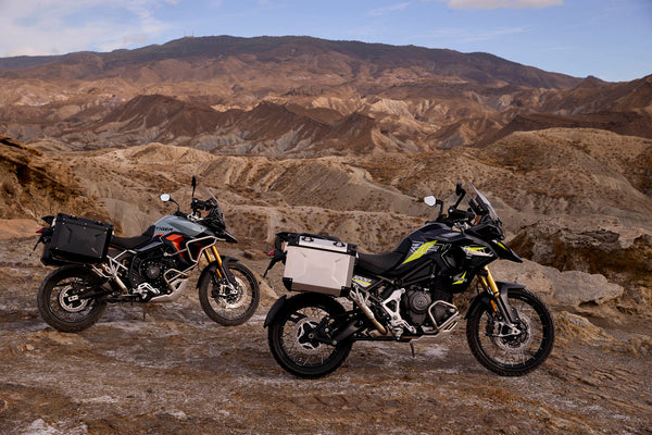 family_tiger_desert_edition_my