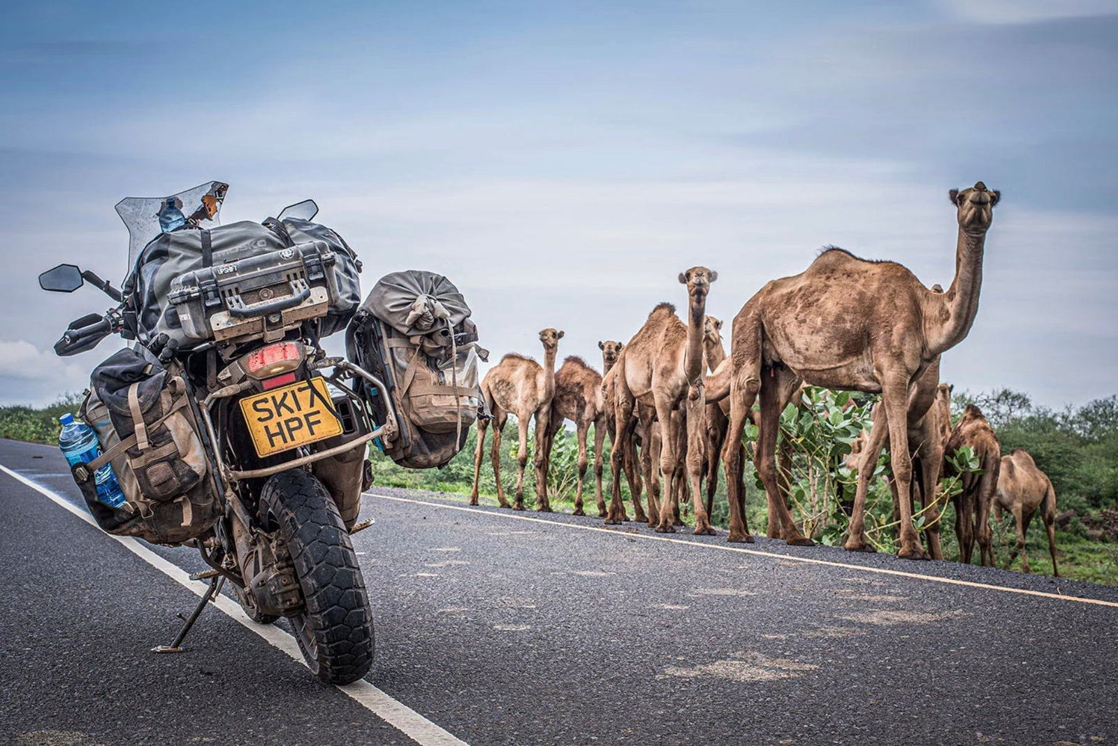 AFRICA: PART 4 - REACHING THE MEDITERRANEAN