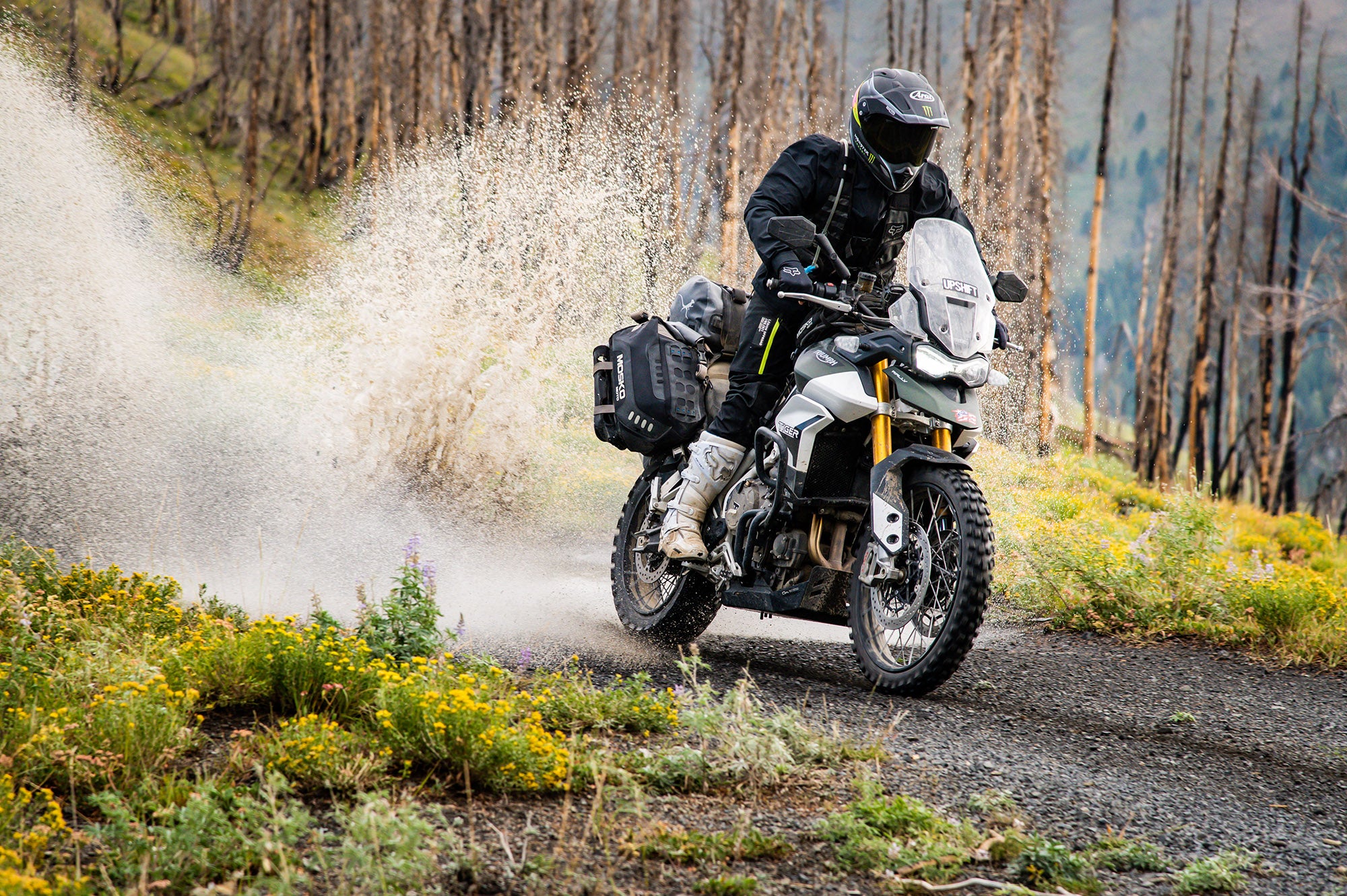 RC'S SUMMER ADVENTURE 2021 - RICKY CARMICHAEL RIDES TRIUMPH TIGERS IN IDAHO'S BACKCOUNTRY