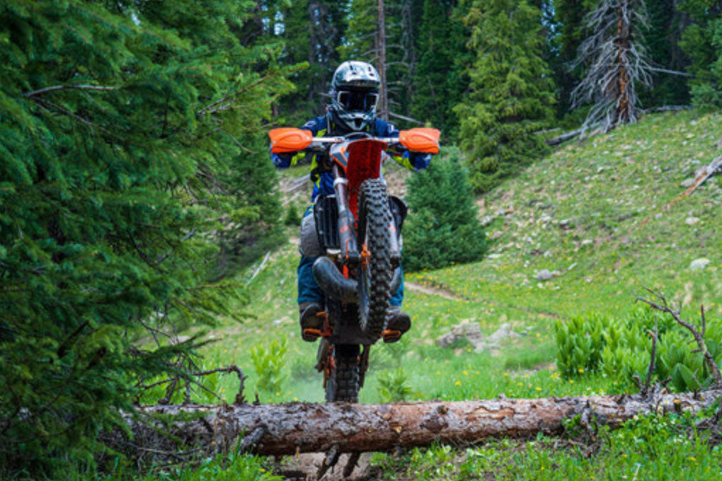 Motorcyclist riding over downed tree