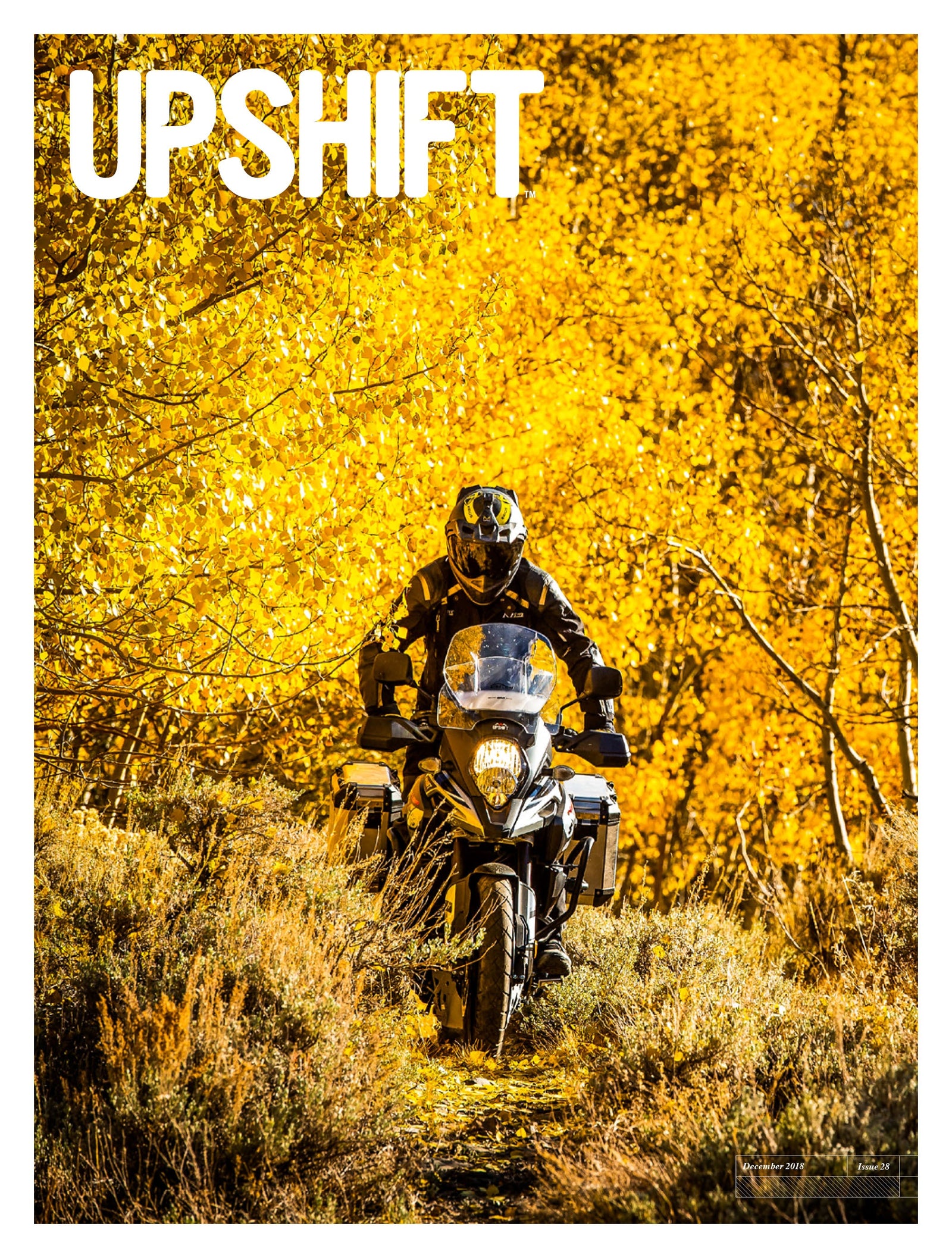 ISSUE 28 - DECEMBER 2018