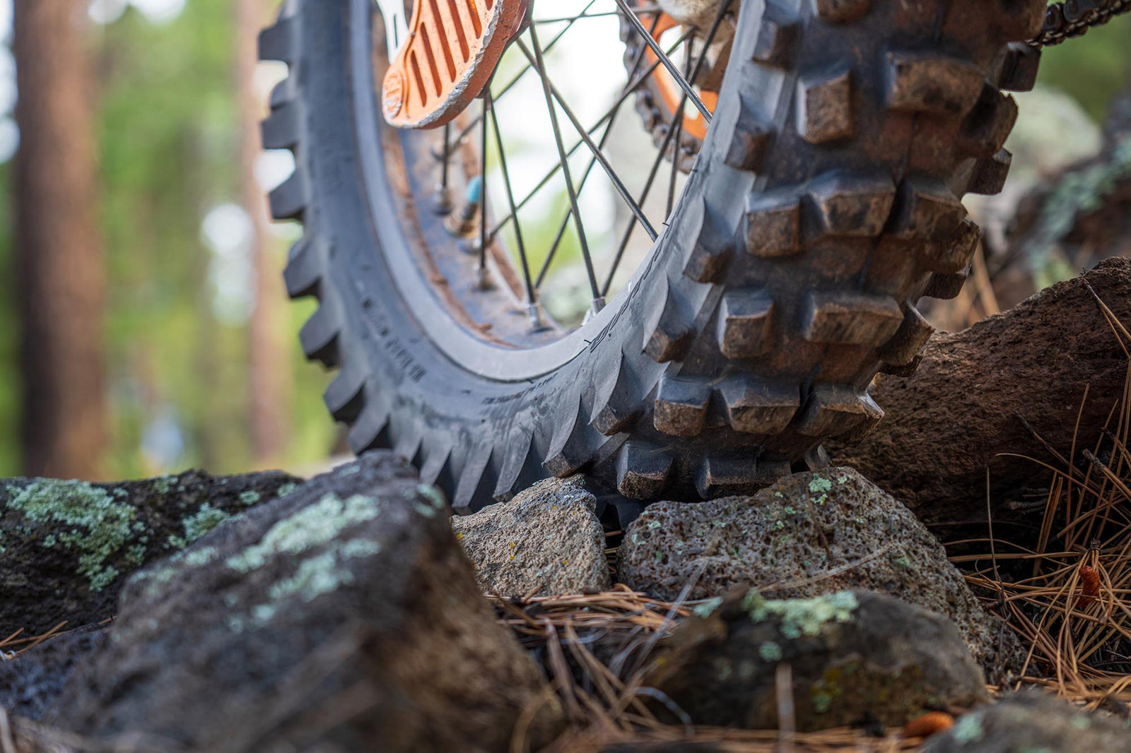 TESTED: SHINKO 520 DC TIRE