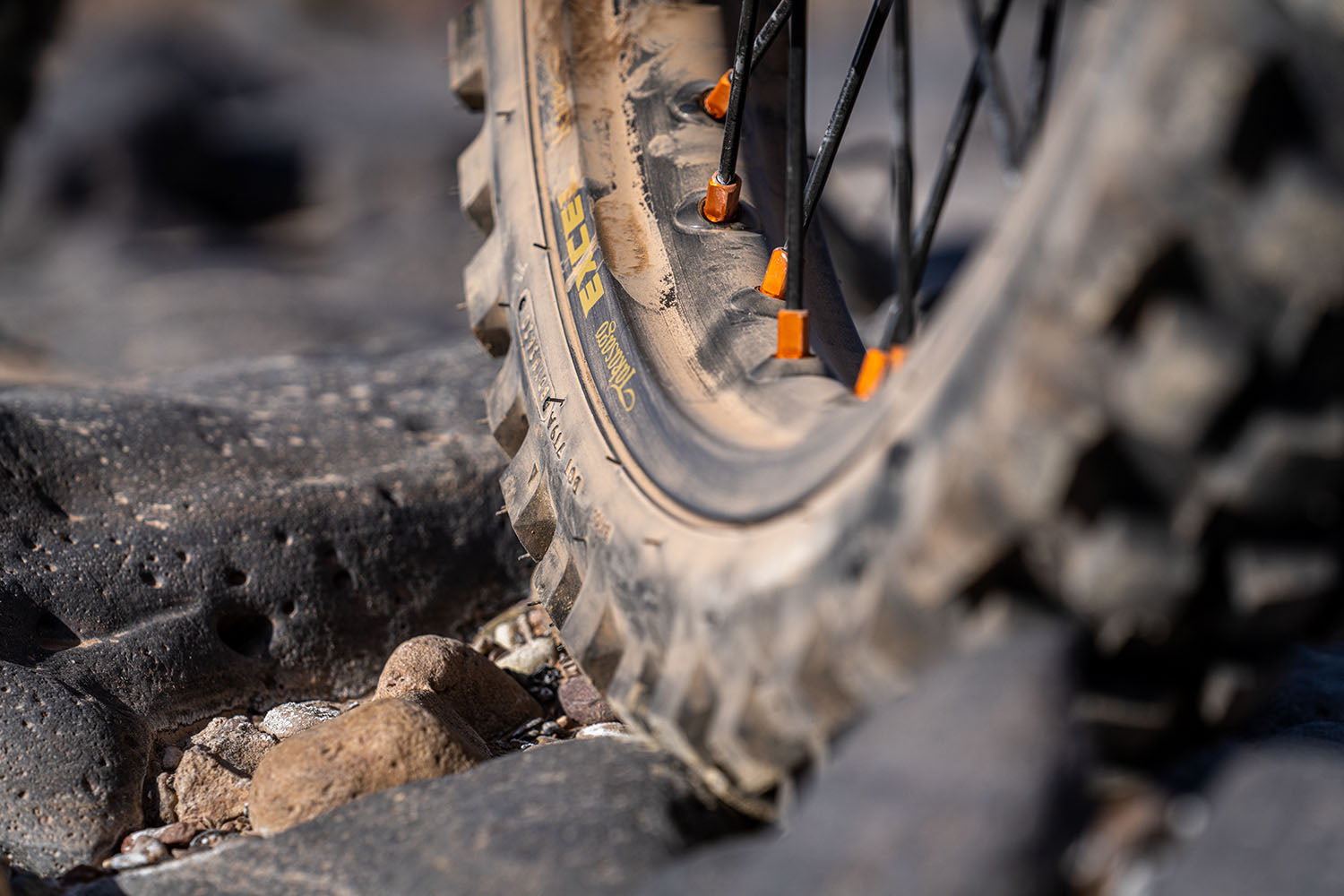 DUBYA MOTO RIM ON KTM 890