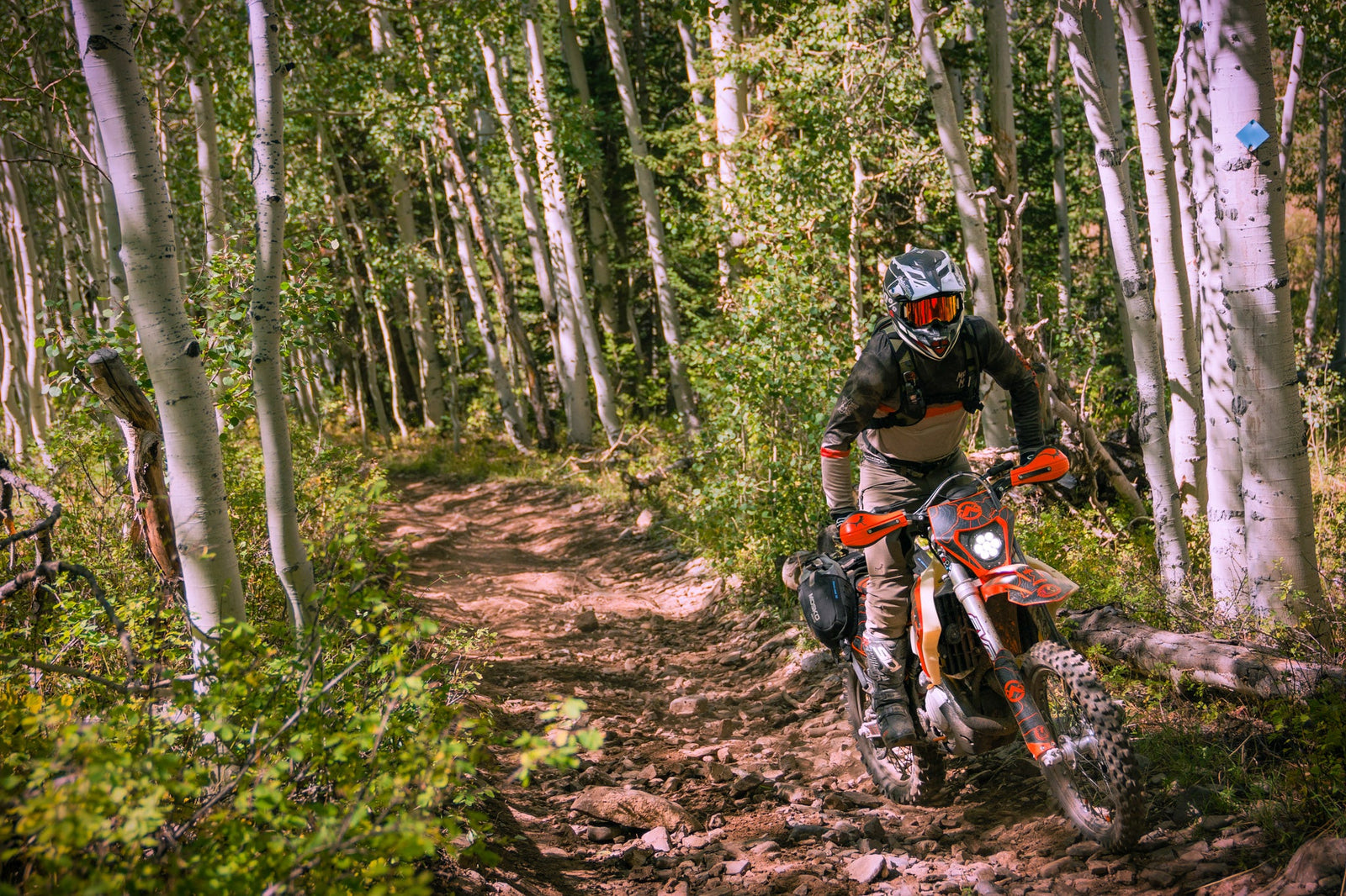 bonfire at the dusty lizard event