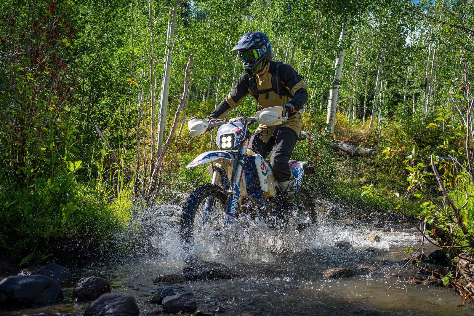 2025 DUSTY LIZARD OURAY, COLORADO