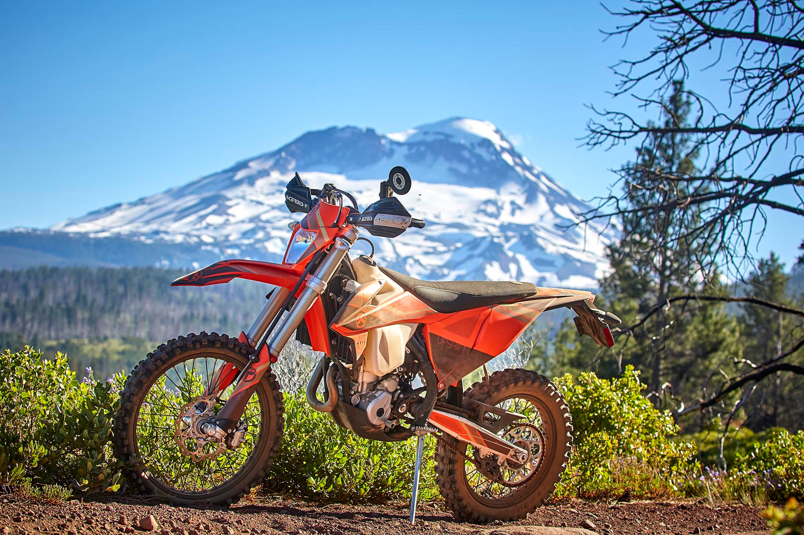 OREGON -THE SILTY WAY